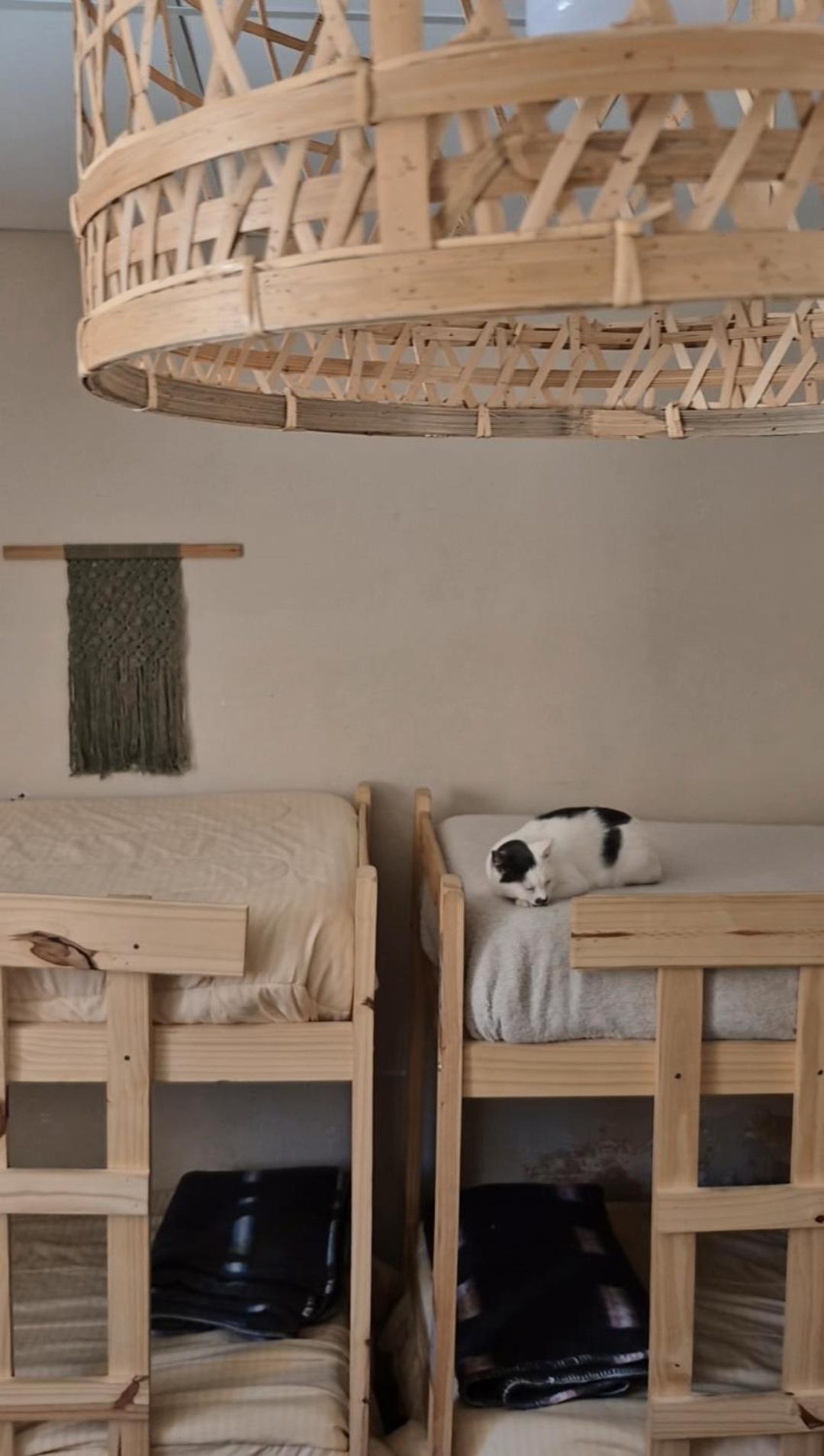 Mestiza Hostal Humahuaca Exteriér fotografie